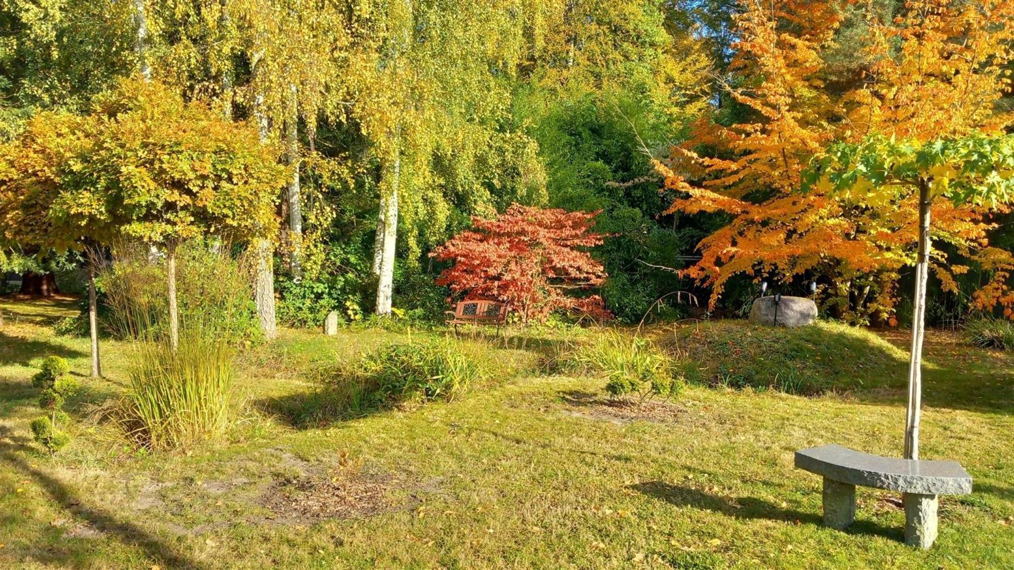 Ostsee Hotel-Pension An Der Lindenallee Bad Doberan Zewnętrze zdjęcie
