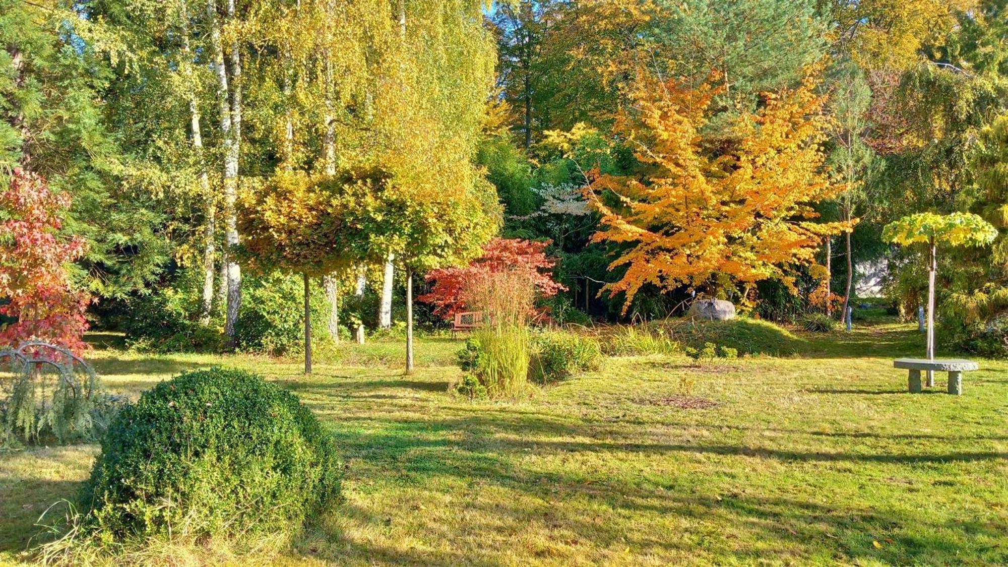 Ostsee Hotel-Pension An Der Lindenallee Bad Doberan Zewnętrze zdjęcie