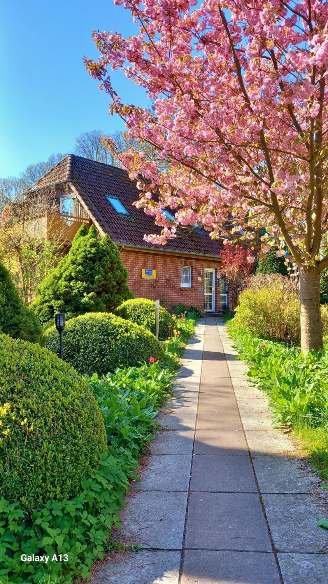 Ostsee Hotel-Pension An Der Lindenallee Bad Doberan Zewnętrze zdjęcie